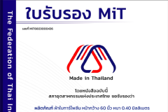 MiT66030004361