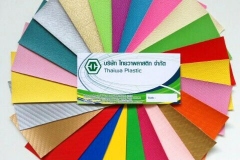 tws01